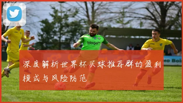 深度解析世界杯买球推荐群的盈利模式与风险防范