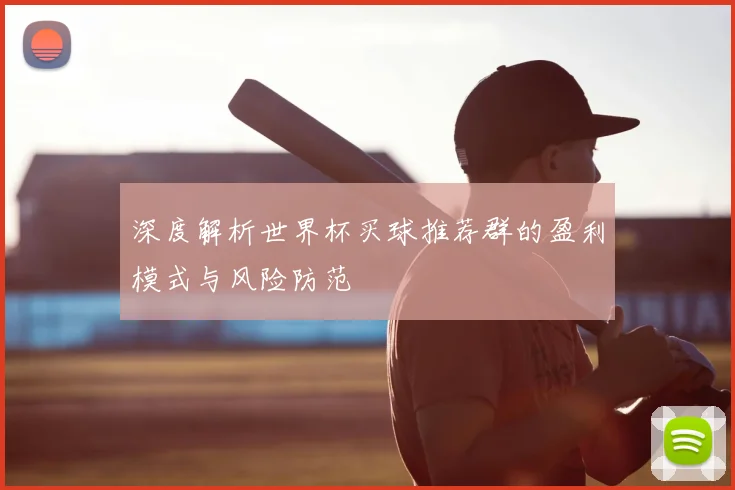 深度解析世界杯买球推荐群的盈利模式与风险防范