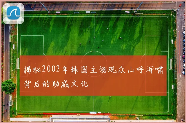 揭秘2002年韩国主场观众山呼海啸背后的助威文化