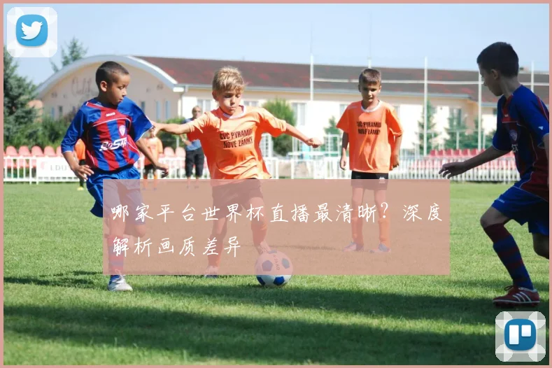 哪家平台世界杯直播最清晰?深度解析画质差异
